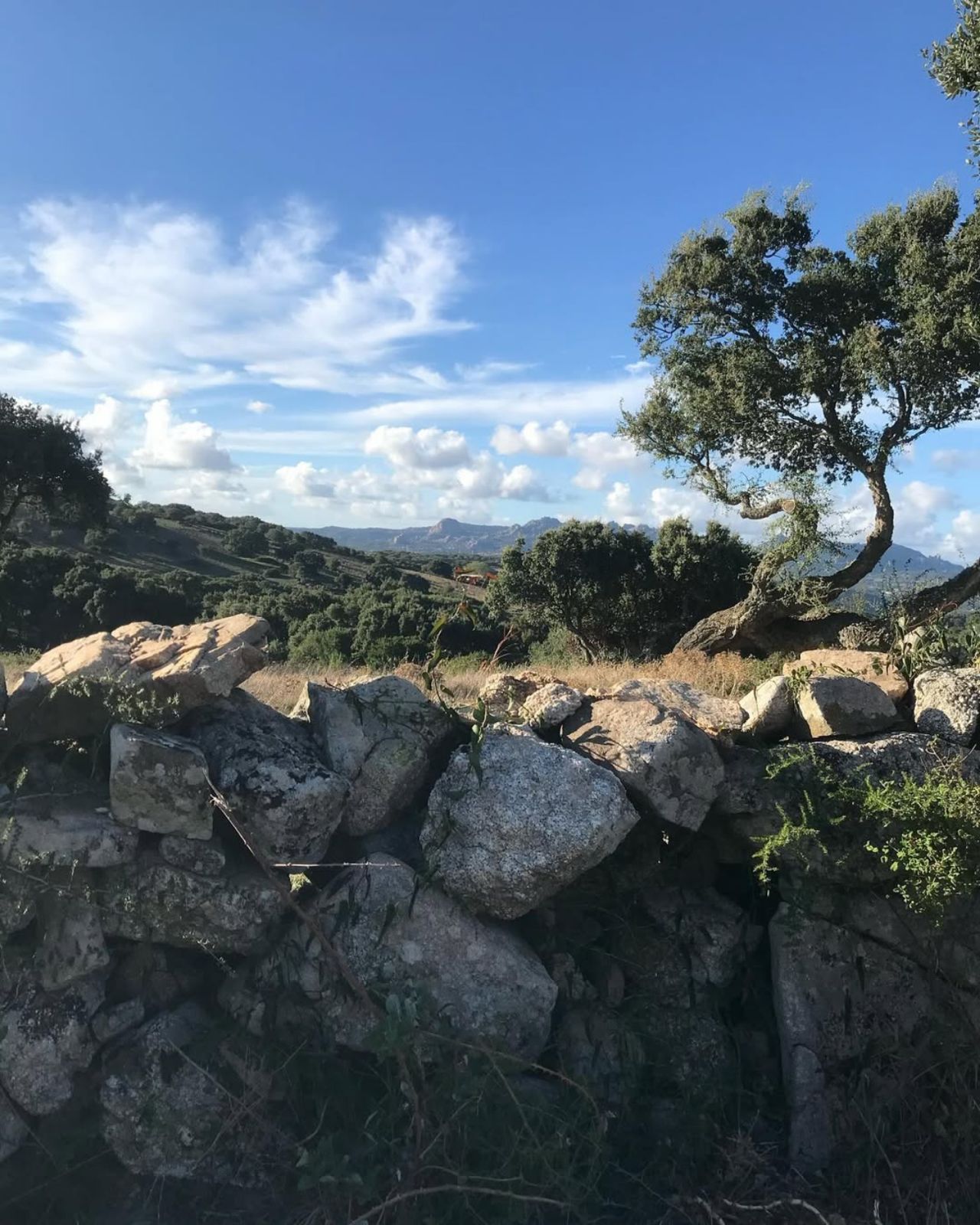 Paesaggio della Gallura